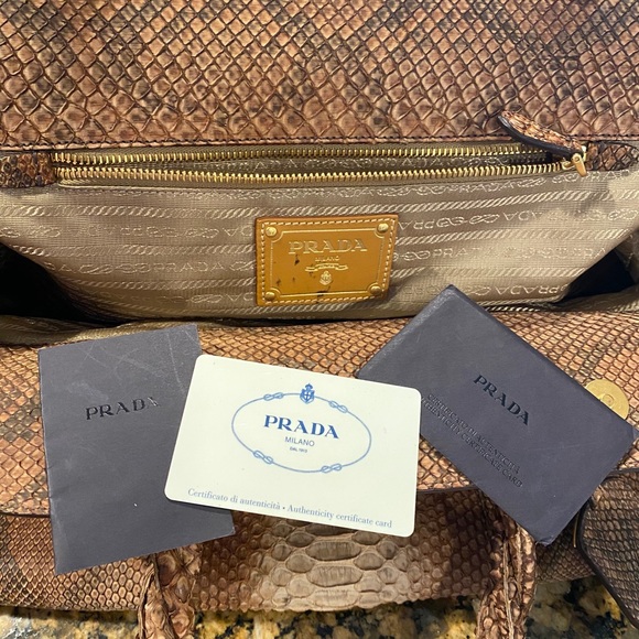 Prada Python Skin Satchel - Picture 11 of 15